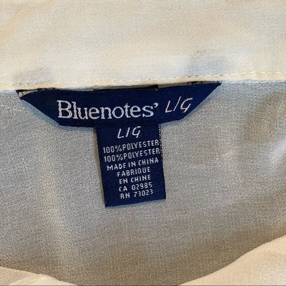 🌸5/$25🌸
 Bluenotes | Size L | Two Blouses - Picture 8 of 8